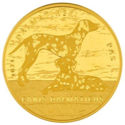 gold coin-dalmatian-1