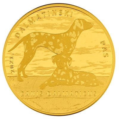 1/4 ounce of gold | Dalmatian dog + box (call for availability)